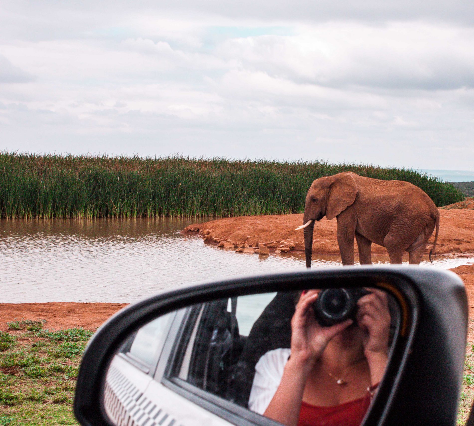 IMG_1011 https://www.celia-letroquer.com/wp-content/uploads/2024/06/IMG_1011-scaled-e1718317543234.jpg